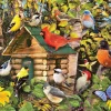 Cobble Hill 1000 Pieces* - Bird Cabin - 1000 Piece Jigsaw Puzzle