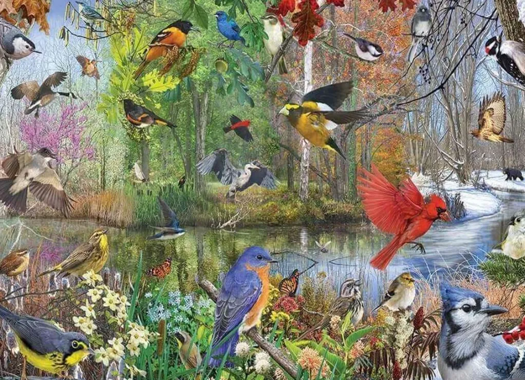 Cobble Hill 1000 Pieces* - Birds Of The Season - 1000 Piece Jigsaw Puzzle