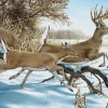 Cobble Hill 1000 Pieces* - Breaking Cover - 1000 Piece Jigsaw Puzzle