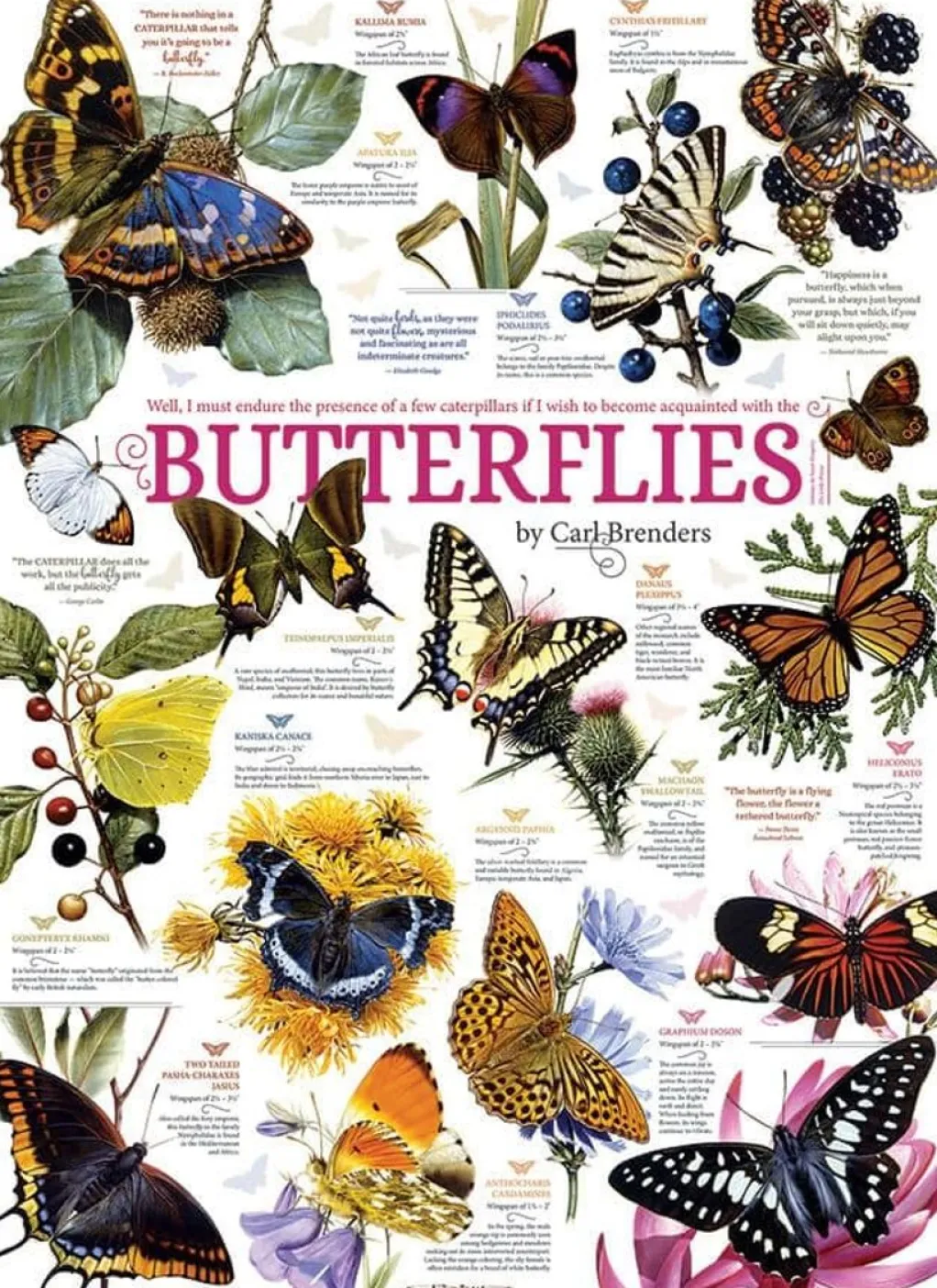 Cobble Hill 1000 Pieces* - Butterfly Collection - 1000 Piece Jigsaw Puzzle
