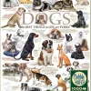 Cobble Hill 1000 Pieces* - Dog Quotes - 1000 Piece Jigsaw Puzzle