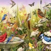 Cobble Hill 1000 Pieces* - Feathered Friends - 1000 Piece Jigsaw Puzzle