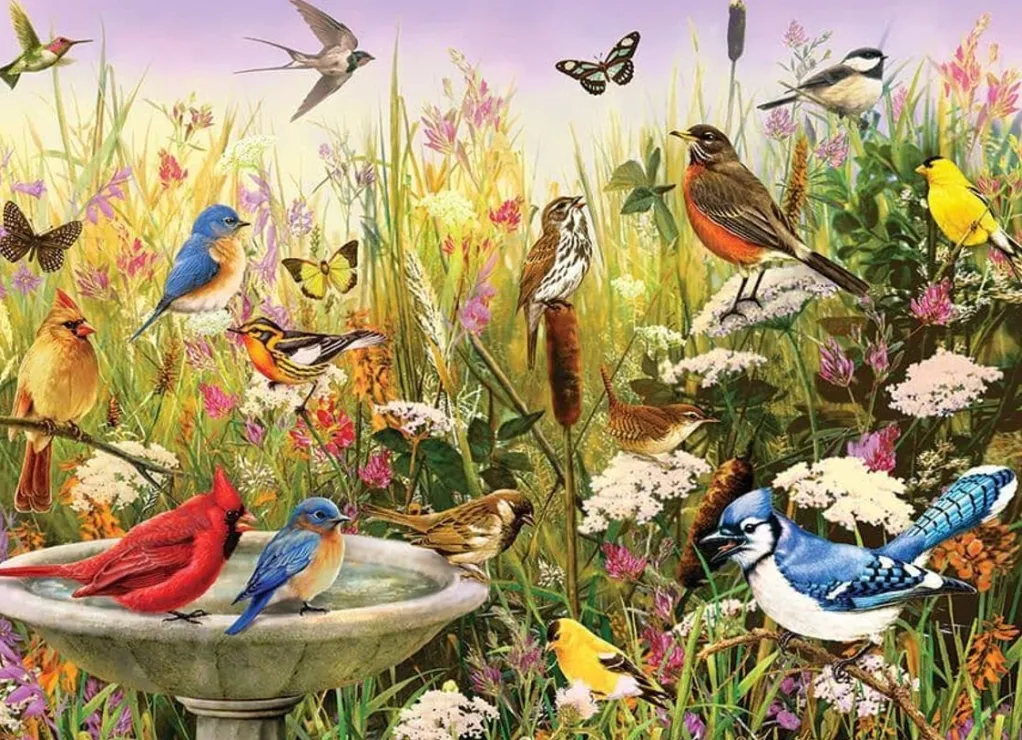 Cobble Hill 1000 Pieces* - Feathered Friends - 1000 Piece Jigsaw Puzzle