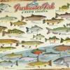 Cobble Hill 1000 Pieces* - Freshwater Fish Of North America - 1000 Piece Jigsaw Puzzle