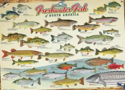 Cobble Hill 1000 Pieces* - Freshwater Fish Of North America - 1000 Piece Jigsaw Puzzle