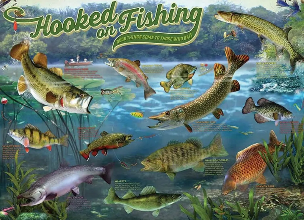 Cobble Hill 1000 Pieces* - Hooked On Fishing - 1000 Piece Jigsaw Puzzle
