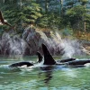 Cobble Hill 1000 Pieces* - Orcas - 1000 Piece Jigsaw Puzzle