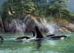 Cobble Hill 1000 Pieces* - Orcas - 1000 Piece Jigsaw Puzzle