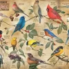 Cobble Hill 1000 Pieces* - Popular Backyard Wild Birds Of North America - 1000 Piece Jigsaw Puzzle
