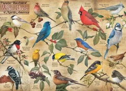 Cobble Hill 1000 Pieces* - Popular Backyard Wild Birds Of North America - 1000 Piece Jigsaw Puzzle