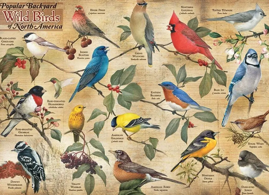 Cobble Hill 1000 Pieces* - Popular Backyard Wild Birds Of North America - 1000 Piece Jigsaw Puzzle