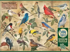 Cobble Hill 1000 Pieces* - Popular Backyard Wild Birds Of North America - 1000 Piece Jigsaw Puzzle