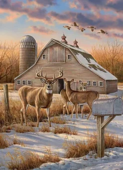 Cobble Hill 1000 Pieces* - Rural Route - 1000 Piece Jigsaw Puzzle