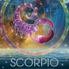 Cobble Hill 500 Pieces* - Scorpio - 500 Piece Jigsaw Puzzle