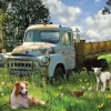 Cobble Hill 1000 Pieces* - Sheep Field - 1000 Piece Jigsaw Puzzle