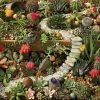 Cobble Hill 1000 Pieces* - Succulent Garden - 1000 Piece Jigsaw Puzzle