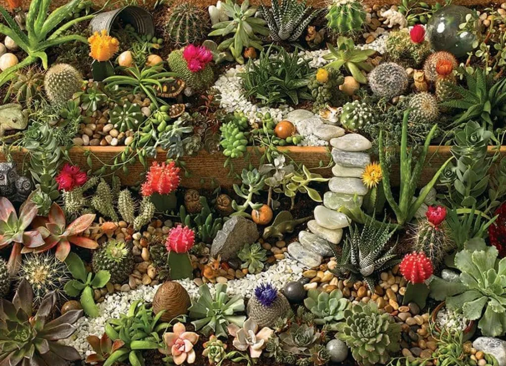 Cobble Hill 1000 Pieces* - Succulent Garden - 1000 Piece Jigsaw Puzzle