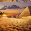 Educa 1000 Pieces* - Camel In The Desert - 1000 Piece Jigsaw Puzzle