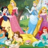 Educa 500 Pieces* - Disney Princess - 500 Piece Jigsaw Puzzle