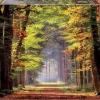 Educa 1000 Pieces* - Fall Walkway - 1000 Piece Jigsaw Puzzle