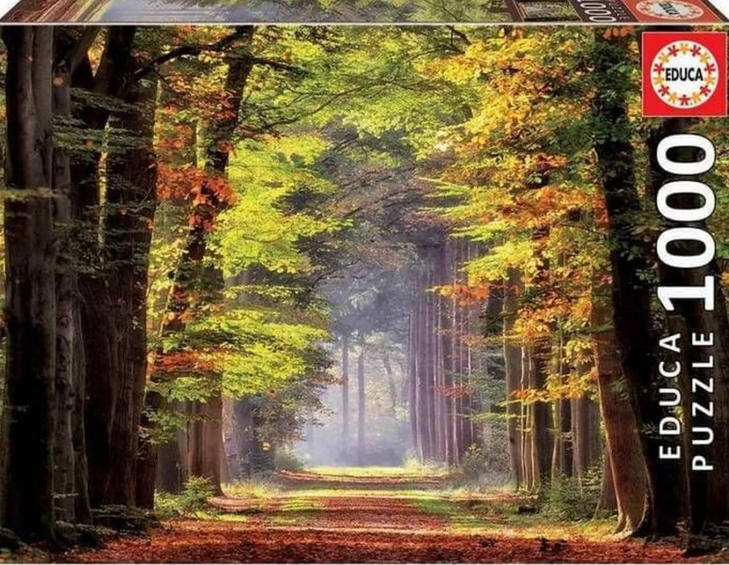 Educa 1000 Pieces* - Fall Walkway - 1000 Piece Jigsaw Puzzle
