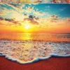 Educa 1000 Pieces* - Sunset - 1000 Piece Jigsaw Puzzle