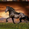 Educa 1000 Pieces* - Trotting Horse - 1000 Piece Jigsaw Puzzle