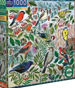 Eeboo 1000 Pieces* - Birds Of Scotland - 1000 Piece Jigsaw Puzzle