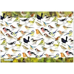 Great British Jigsaws 1000 Pieces*Emma Ball - British Birds - 1000 Piece Jigsaw Puzzle
