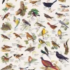 Eurographics 1000 Pieces* - Birds - 1000 Piece Jigsaw Puzzle