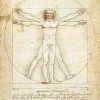 Eurographics 1000 Pieces* - Da Vinci - The Vitruvian Man - 1000 Piece Jigsaw Puzzle