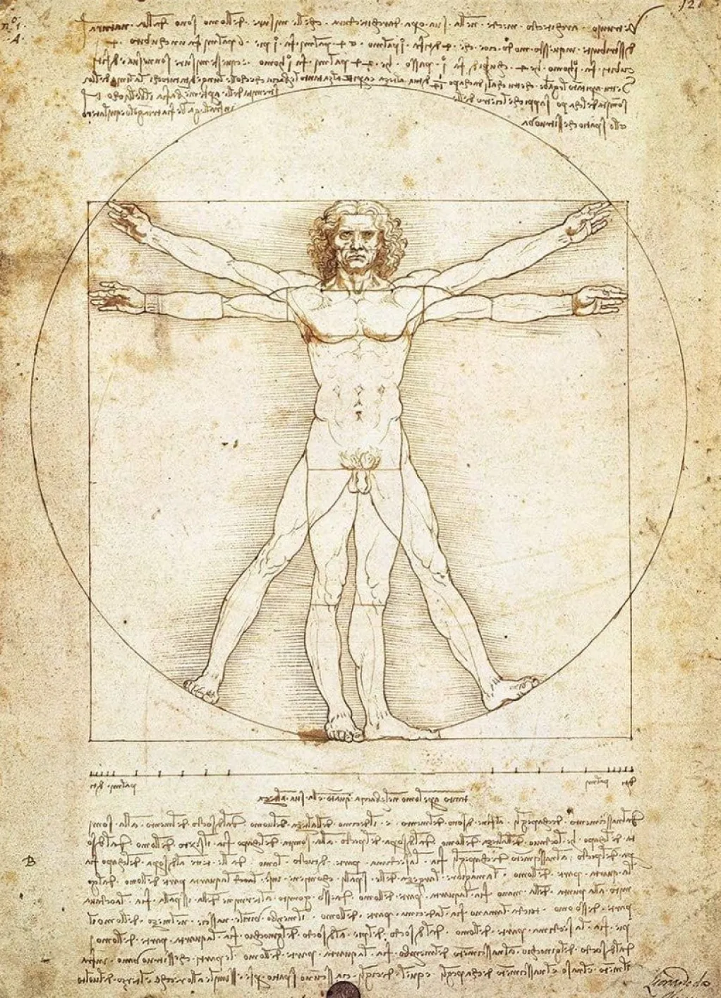 Eurographics 1000 Pieces* - Da Vinci - The Vitruvian Man - 1000 Piece Jigsaw Puzzle