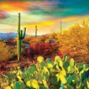 Eurographics 1000 Pieces* - Desert Dreams - 1000 Piece Jigsaw Puzzle
