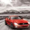Eurographics 1000 Pieces* - Ford Mustang 2015 - 1000 Piece Jigsaw Puzzle