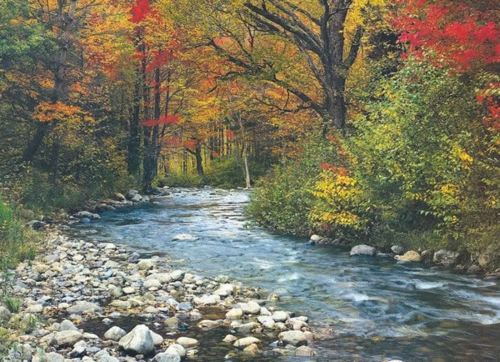 Eurographics 1000 Pieces* - Forest Stream - 1000 Piece Jigsaw Puzzle