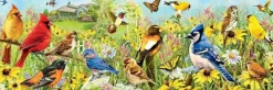 Eurographics 1000 Pieces* - Garden Birds - Panoramic 1000 Piece Jigsaw Puzzle