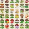 Eurographics 1000 Pieces* - Herbs And Spices - 1000 Piece Jigsaw Puzzle