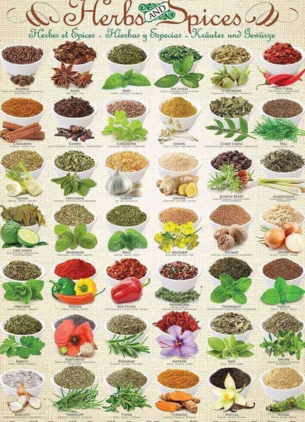 Eurographics 1000 Pieces* - Herbs And Spices - 1000 Piece Jigsaw Puzzle