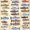 Eurographics Extra Large Pieces* - Salmon & Trout - 1000 Piece Jigsaw Puzzle