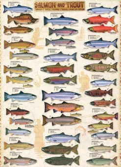 Eurographics Extra Large Pieces* - Salmon & Trout - 1000 Piece Jigsaw Puzzle