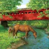 Eurographics 1000 Pieces* - Sweet Water Bridge - 1000 Piece Jigsaw Puzzle