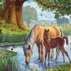 Eurographics 1000 Pieces* - The Fell Pony - 1000 Piece Jigsaw Puzzle