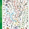 Eurographics 1000 Pieces* - The Tree Of Life - 1000 Piece Jigsaw Puzzle