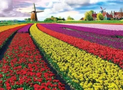 Eurographics 1000 Pieces* - Tulip Fields - 1000 Piece Jigsaw Puzzle