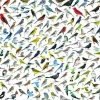 Eurographics 1000 Pieces* - World Of Birds - 2000 Piece Jigsaw Puzzle