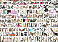Eurographics 1000 Pieces* - World Of Cats - 1000 Piece Jigsaw Puzzle