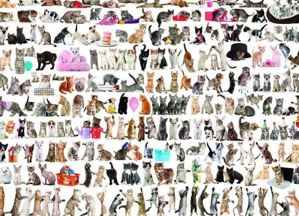 Eurographics 1000 Pieces* - World Of Cats - 1000 Piece Jigsaw Puzzle