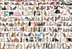 Eurographics 1000 Pieces* - World Of Cats - 2000 Piece Jigsaw Puzzle