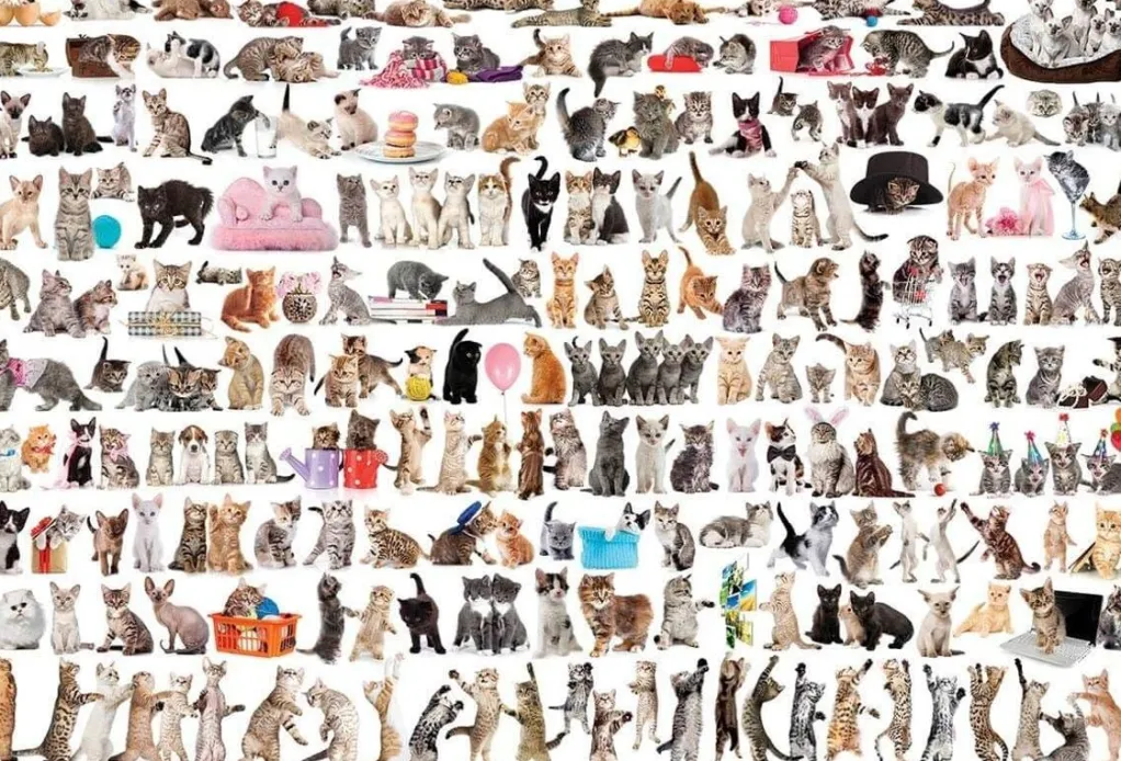 Eurographics 1000 Pieces* - World Of Cats - 2000 Piece Jigsaw Puzzle