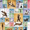 Eurographics 1000 Pieces* - Yoga Cats - 1000 Piece Jigsaw Puzzle